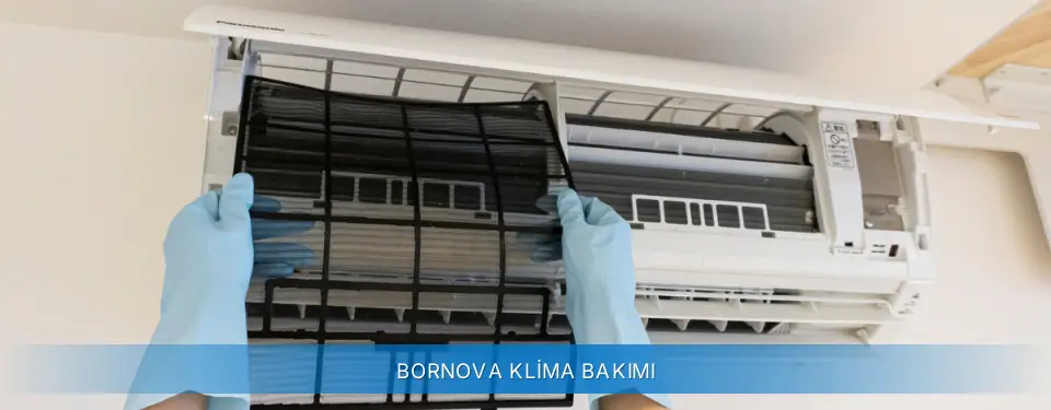 Bornova İlçemi Alarko Carrier Klima Bakımı